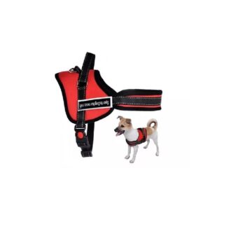 Arnés para Mascotas Dog Happy Talla L