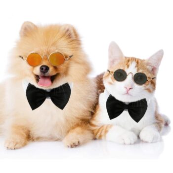 Lentes Redondos para Mascota