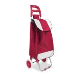 Carrito Portátil y Plegable para Compras