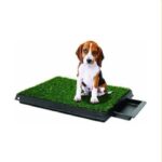 Baño Ecológico Portátil con Césped para Perros Mediano