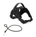 Arnés para Perro Ergonómico + Soga Gruesa Trenzada