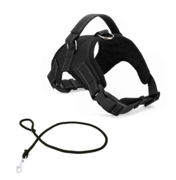 Arnés para Perro Ergonómico + Soga Gruesa Trenzada