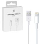 Cable Lightning De 2M - Apple