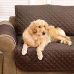 sofa.jpg