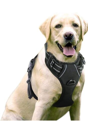 Arnés Para Perro sin Tirones Ajustable